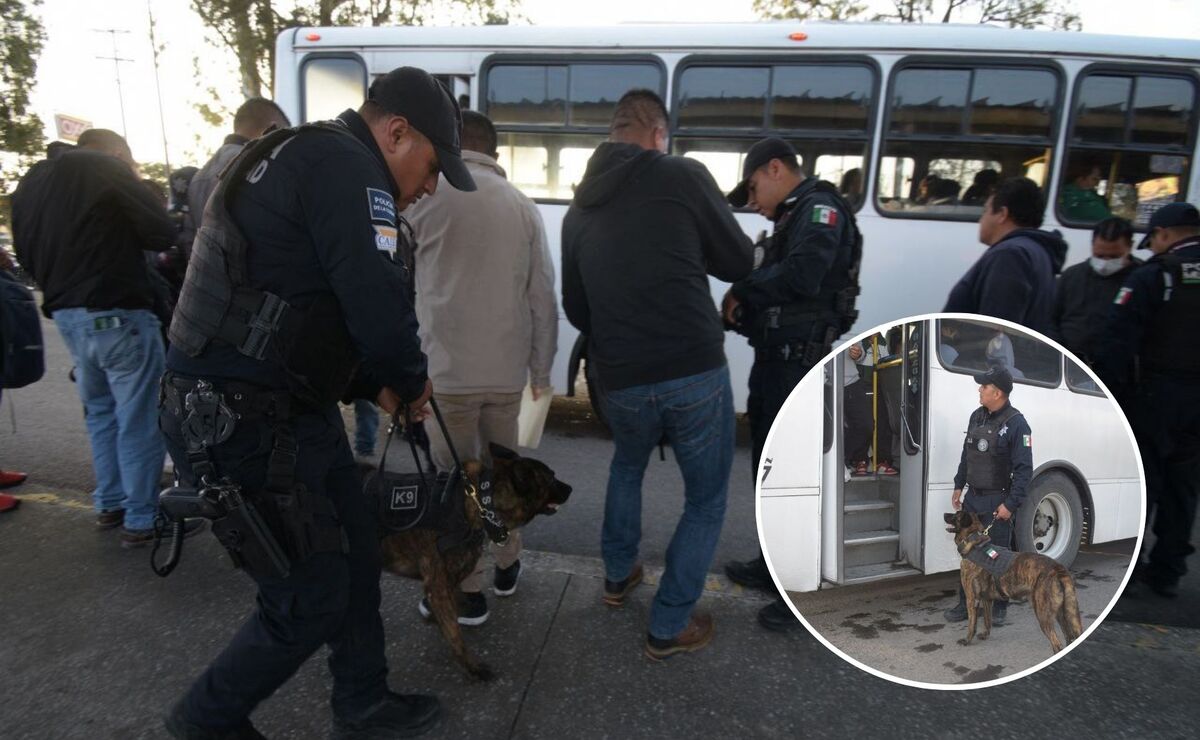 En estos operativos, se trabaja con personal de las 10 Zonas Operativas, Grupos Especiales y binomios de la Unidad Canina K9 | Foto: SSC Puebla