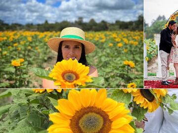 ¿Te lo piensas perder? Se acerca el Primer Festival “Entre Girasoles”