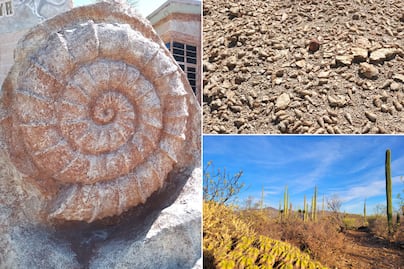Cómo llegar a los lugares de Puebla que alguna vez estuvieron bajo el mar y tienen fósiles