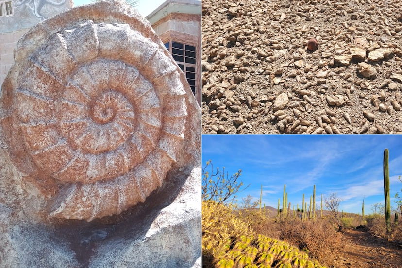 Cómo llegar a los lugares de Puebla que alguna vez estuvieron bajo el mar y tienen fósiles