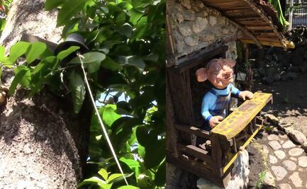 Por qué se debe tocar una campana antes de entrar al páramo de los duendes