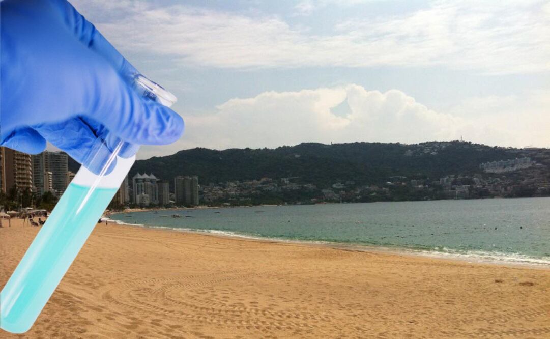 Antes de elegir una playa, checa si no está contaminada | Foto: Ayuntamiento de Acapulco y Pixabay