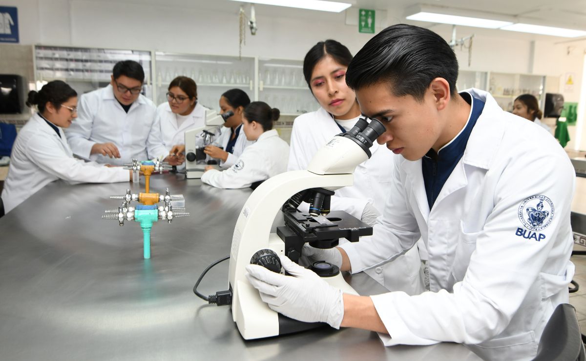 Enfermería BUAP tiene el mayor número de SNII en esta disciplina en la región centro-sur del país