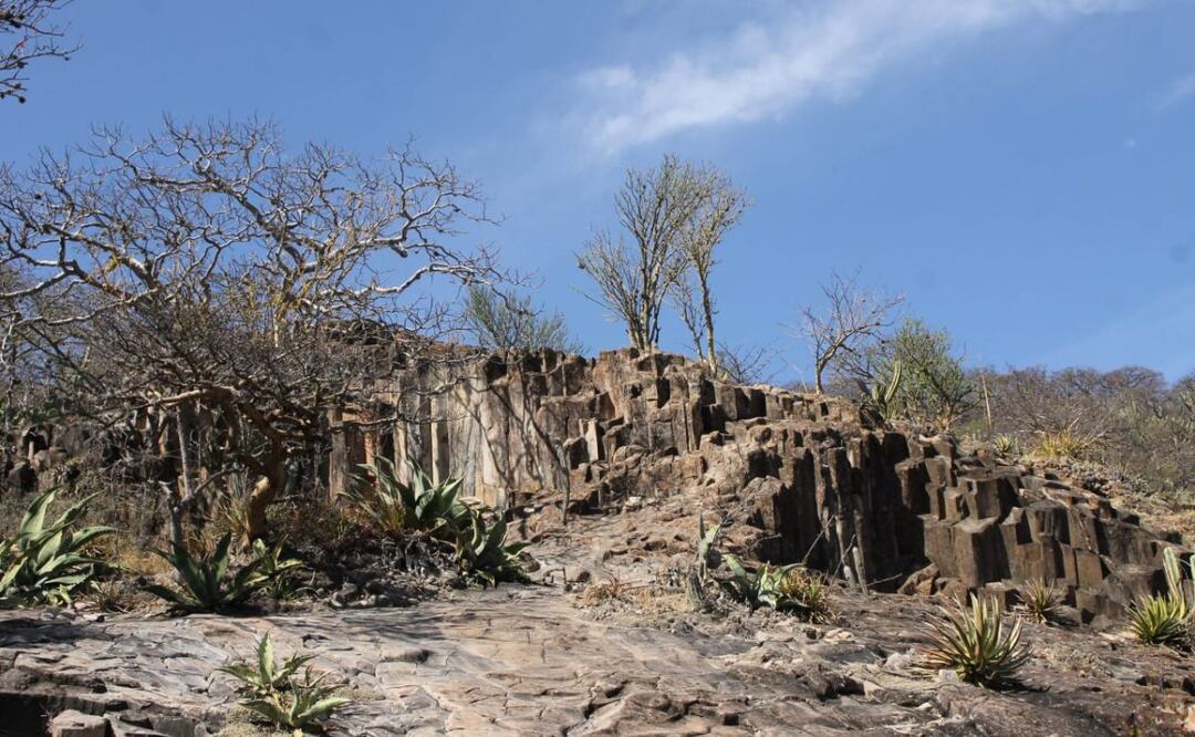 Hay zonas en Puebla con temperaturas más extremas que otras, la Reserva de la Biósfera Tehuacán-Cuicatlán incluso tiene un clima desértico | Foto: Agencia Es Imagen para El Universal Puebla