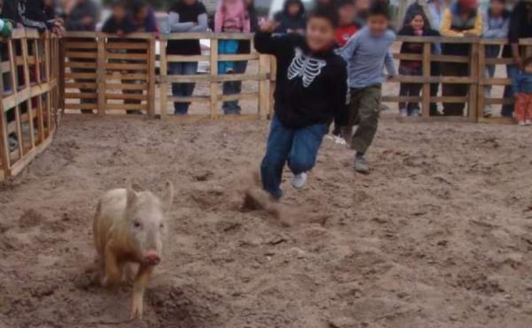 "Es inadmisible la crueldad y el maltrato a los seres sintientes": IBA | Foto: RRSS