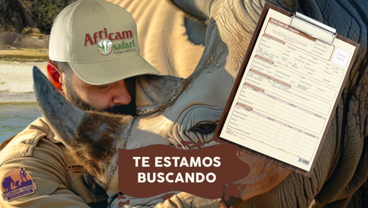 Africam Safari ofrece vacantes de empleo I Foto: Especial