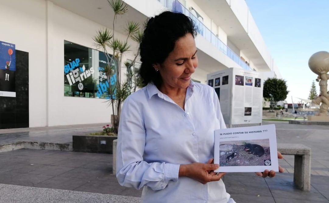 Foto: Twitter @ccubuap