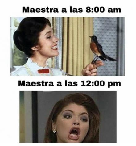Día del Maestro: frases típicas de profe y memes
