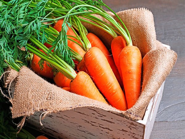 De acuerdo con un informe publicado por Europa Press, basado en una publicación del "Journal of Agriculture and Food Chemistry",  los investigadores, ya se conocía la capacidad de las zanahorias para reducir el riesgo de desarrollar tumores. 
Foto: Producción El Universal