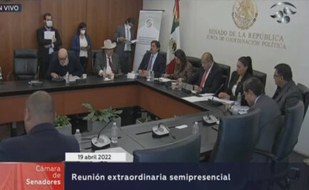En comisiones, Senado aprueba en "fast track" reforma a Ley Minera; va discusión al pleno