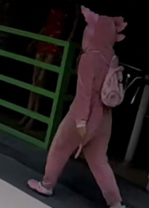 En las calles es cada vez más común ver a gente con su pijama | TikTok Gallo Ghozz