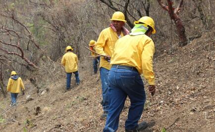 Esperanza Silver de México y comuneros de San Agustín Tetlama luchan en contra de los incendios forestales