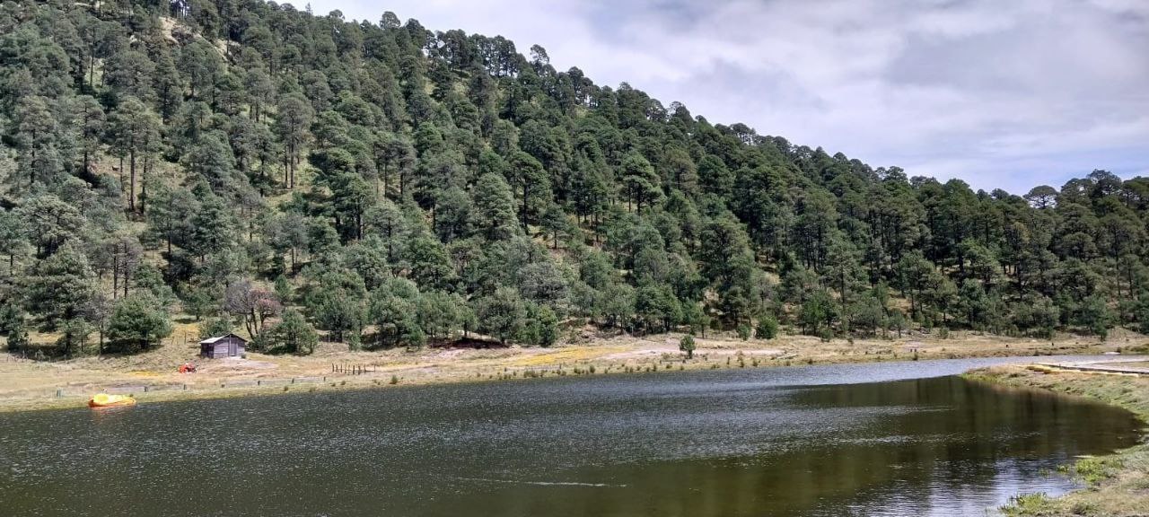 El Parque Ecoturístico Apatlaco se encuentra entre los volcanes Popocatépetl e Iztaccíhuatl | Foto: Redes sociales
