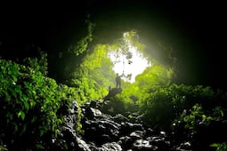 Caso Cuetzalan: ¿Qué debes hacer antes de visitar una gruta?