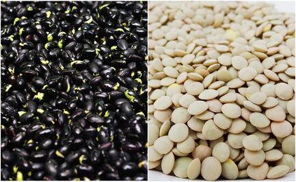 Por problemas de abasto, venden kilo de frijol en 53 pesos y lentejas en 55 pesos