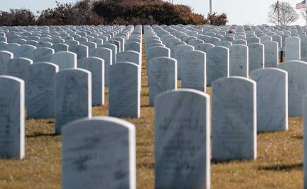 Aquamación: una alternativa funeraria sustentable