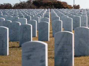 Aquamación: una alternativa funeraria sustentable