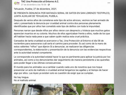 Matagatos de Tehuacán: denuncian a dos por muerte colectiva de felinos