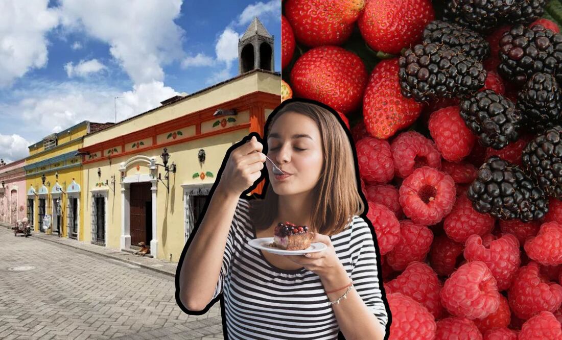 Disfruta de la berries en Puebla | Foto: Google Maps / EsImagen / Freepik