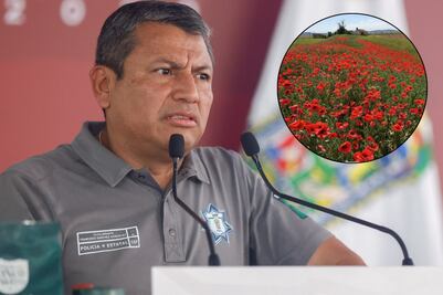 Encuentran sembradíos en Atlixco... pero de amapola