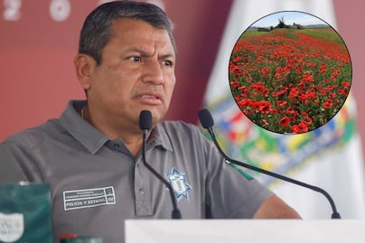 Encuentran sembradíos en Atlixco... pero de amapola