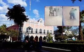 VIDEO Automovilista ataca a una agente de tránsito para evitar una multa en Tehuacán