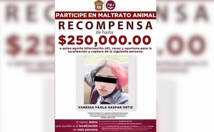 Buscan por todos lados a Vanessa, la joven que mató a Huellitas en Huauchinango 