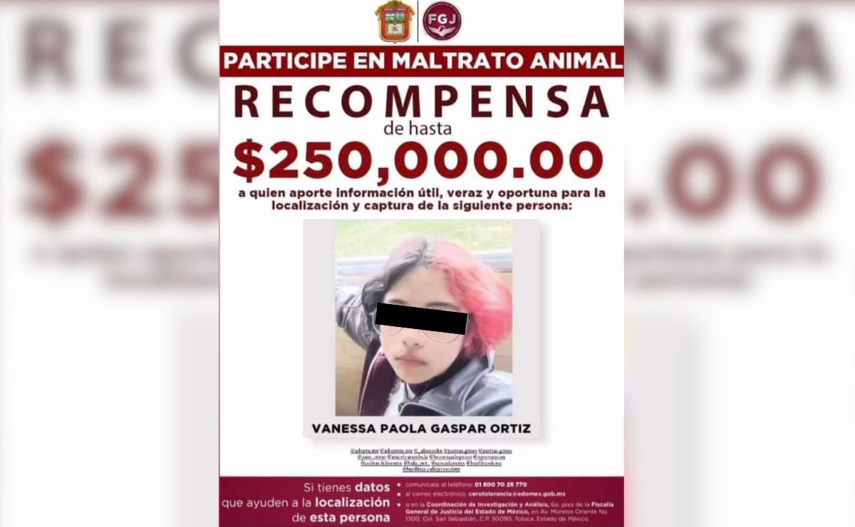 Buscan por todos lados a Vanessa, la joven que mató a Huellitas en Huauchinango