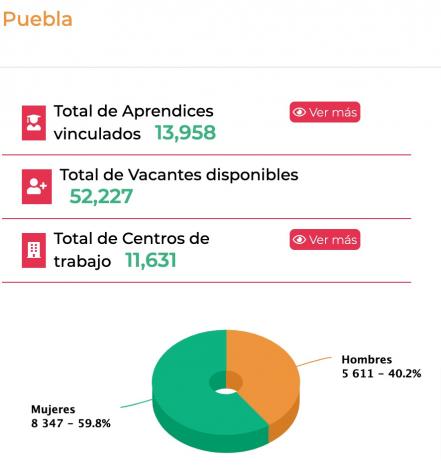 Jóvenes Construyendo el Futuro ofrece más de 52 mil vacantes en Puebla