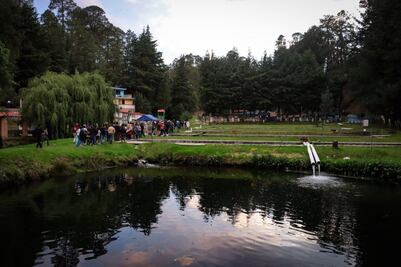 Avistamiento de luciérnagas en Tlahuapan: Rutas y servicios