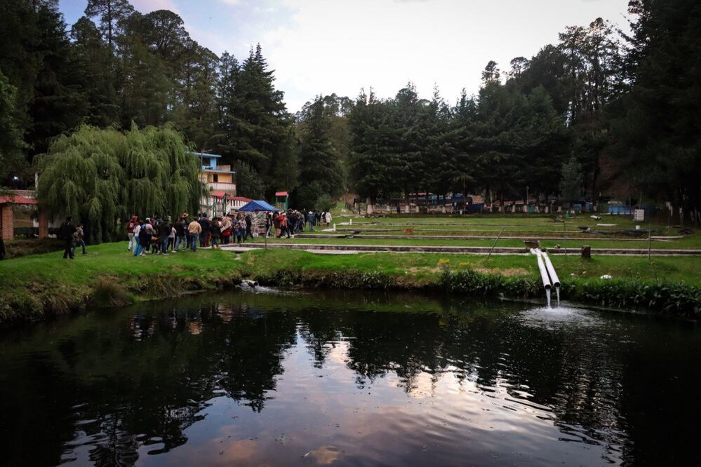 Viaja a Tlahuapan y descubre hermosos paisajes con luciérnagas | Foto: EsImagen