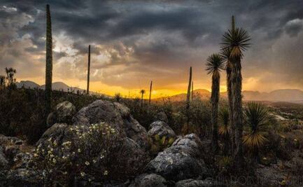 Qué encontraron donde estaba el mar de Puebla