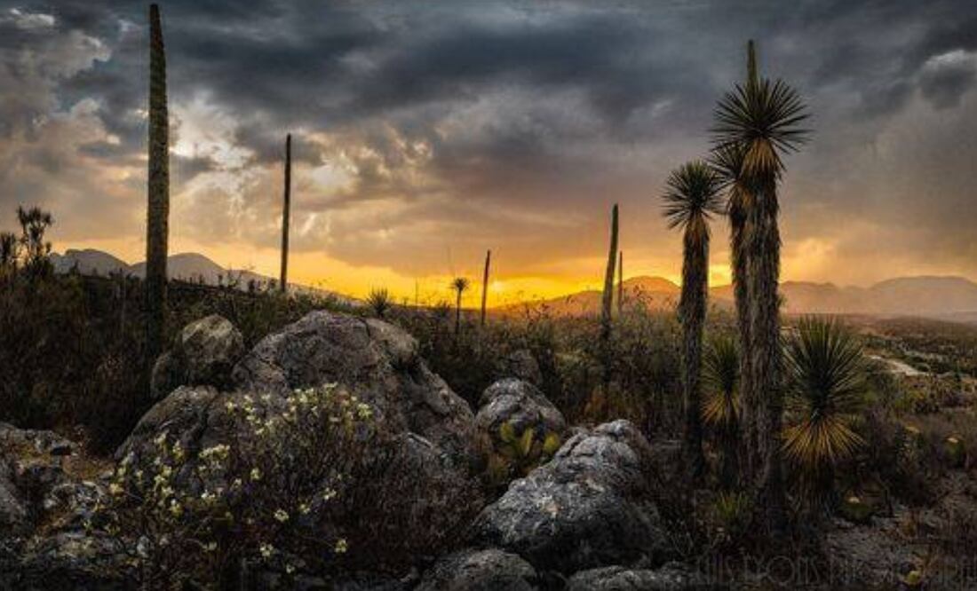 Esto fue lo que encontraron donde hubo mar en Puebla I Foto: Gobierno Federal
