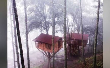 Vacaciones de Verano en las copas de los árboles, es lo que ofrece Kali Tree