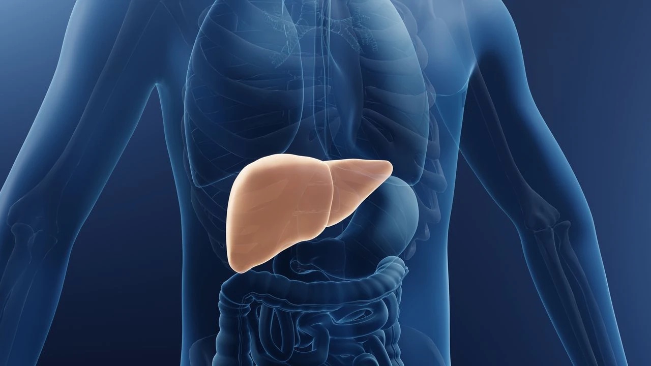 Esta condición puede ser reversible si se detecta a tiempo y se implementan medidas para prevenir daños adicionales, como recibir tratamiento y realizar cambios en el estilo de vida.

Foto: Producción El Universal Puebla