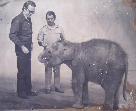 Así lucía Africam Safari hace 51 años