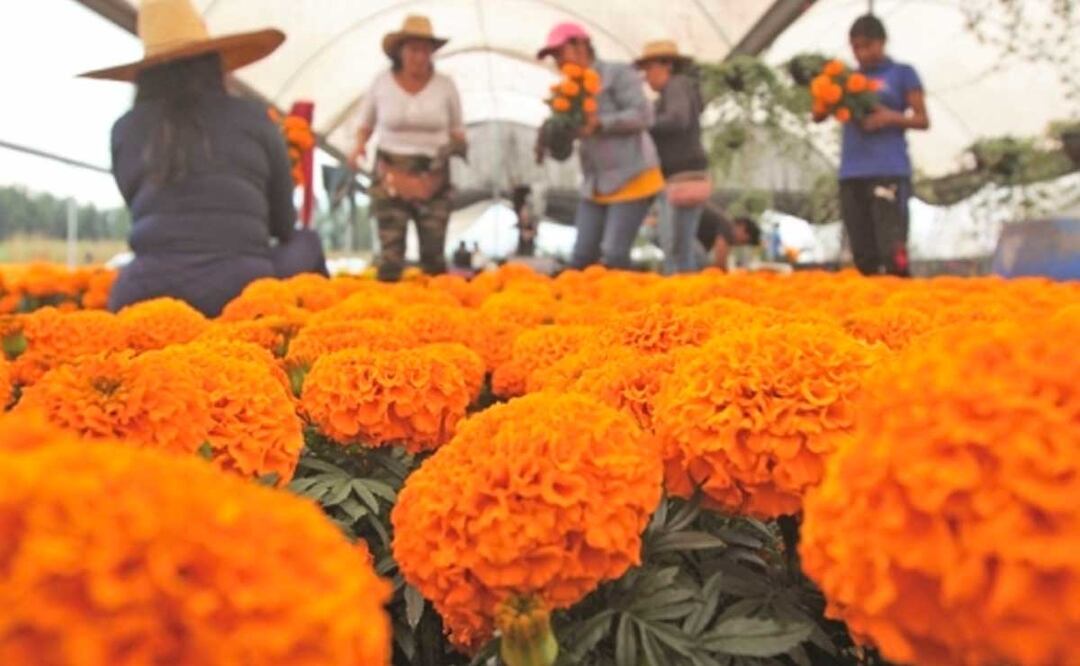 Foto: Archivo El Universal