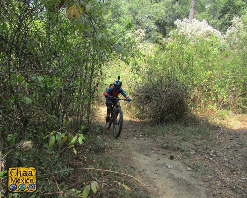 En Puebla hay varios clubes como Ciclismo Puebla MTB que cada fin de semana recorren diversas rutas en la montaña| Facebook Ciclismo Puebla MTB