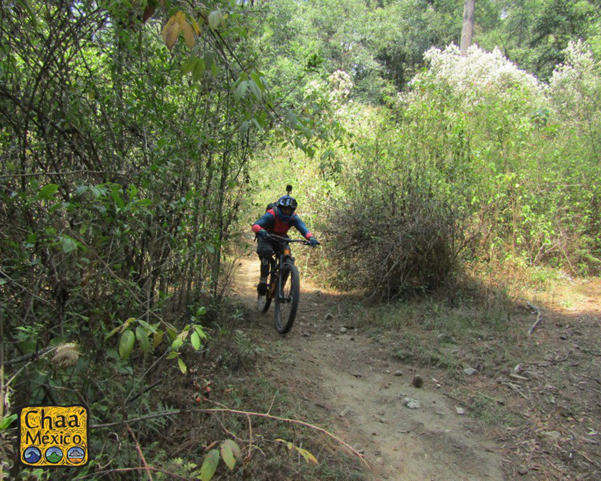 Rutas que recomiendan los amantes del ciclismo de montaña en Puebla