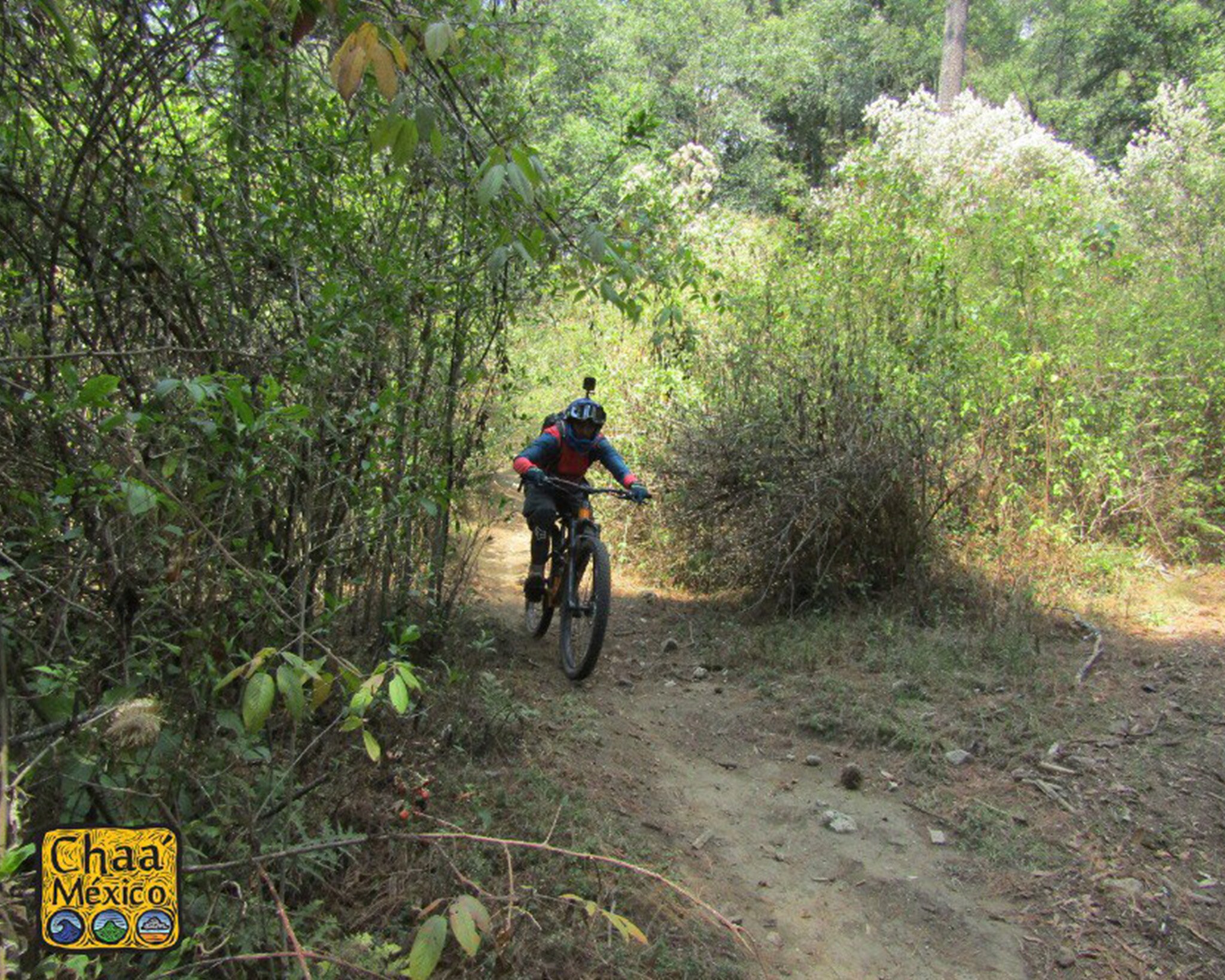 Rutas que recomiendan los amantes del ciclismo de montaña en Puebla