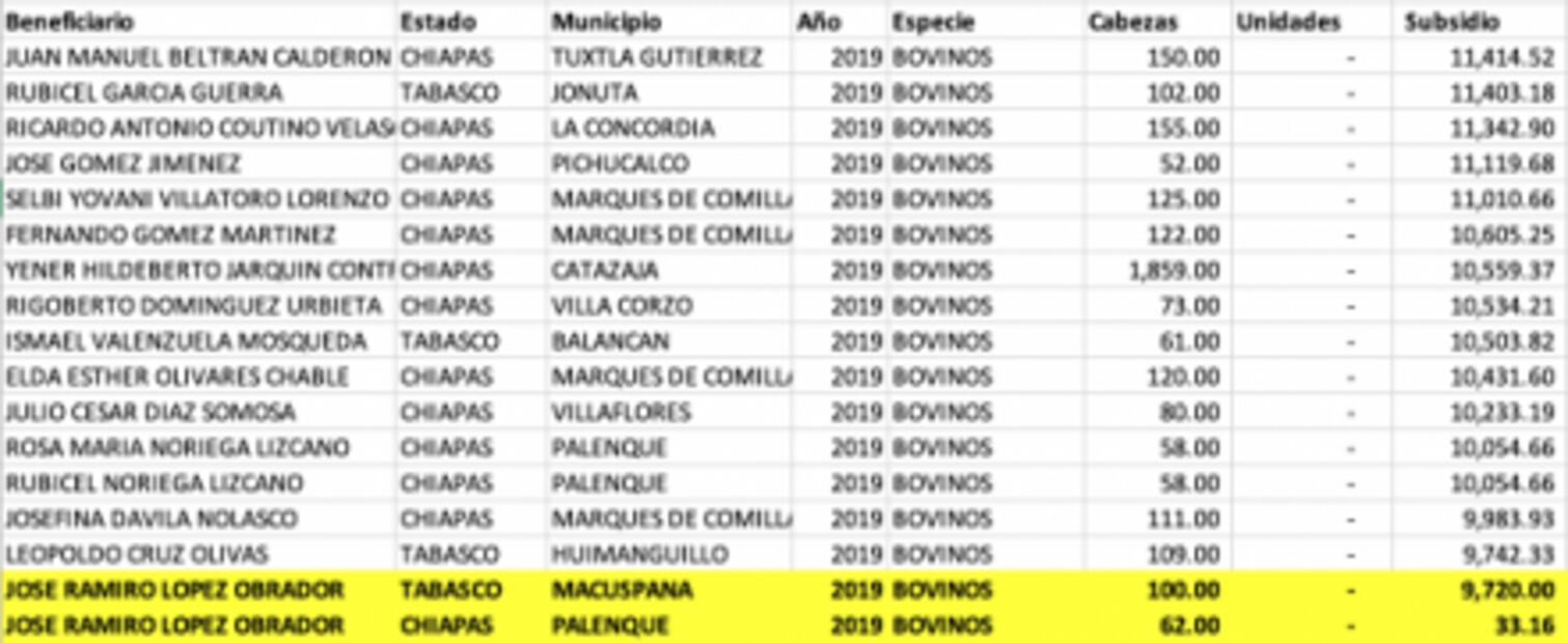 Hermano de AMLO, beneficiado con crédito millonario del gobierno