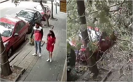 VIDEO. Pareja se salva de ser aplastada por un árbol, tras fuertes vientos en la CDMX