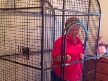 Memes para festejar el Día de la Suegra