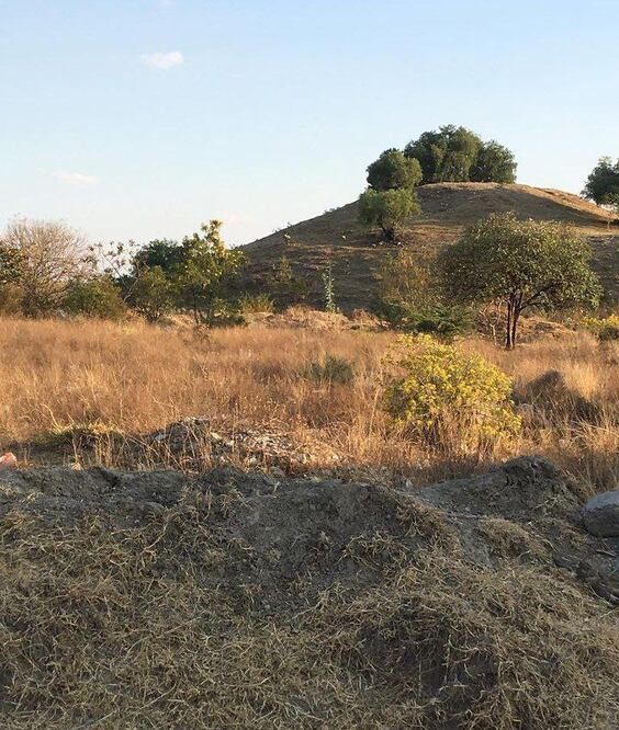 La pirámide de Tepalcayotl lucha por sobrevivir| Instagram itschristiangutierrez