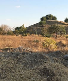 Tepalcayotl, la zona arqueológica de Puebla que fue saqueada por alemanes