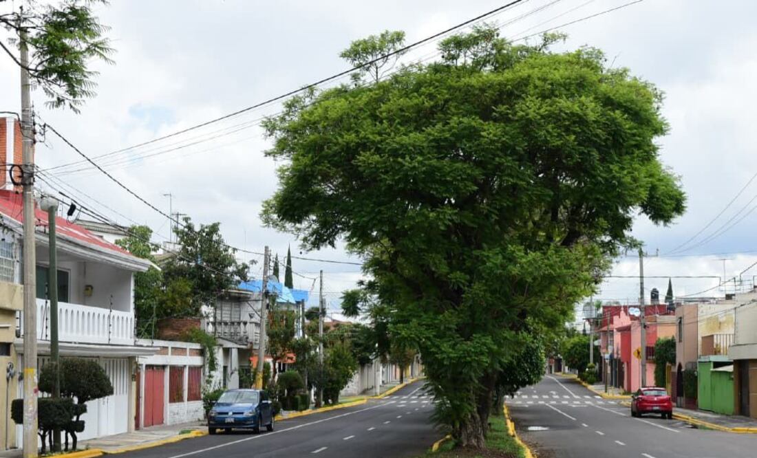 Foto: Agencia Enfoque para El Universal Puebla