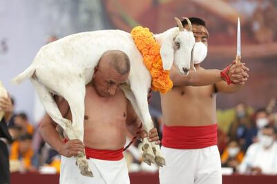 FESTIVAL DEL MOLE DE CADERAS