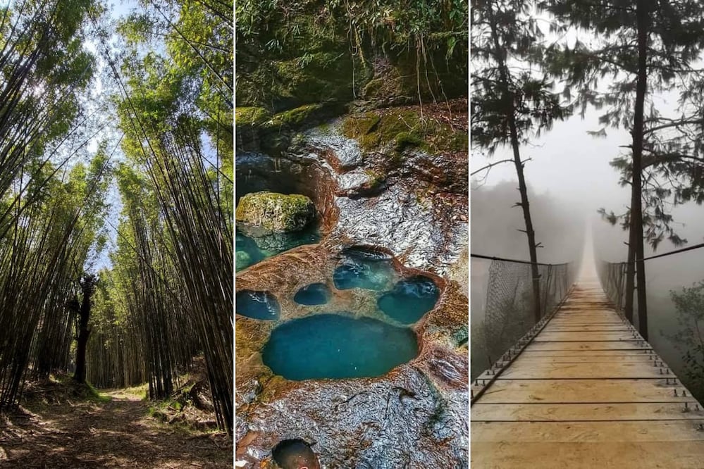 Durante el verano, Puebla se llena de paisajes verdes que convierten sus destinos en únicos | Foto: FB Bambusal / México a través de una lente / Cascadas paraiso