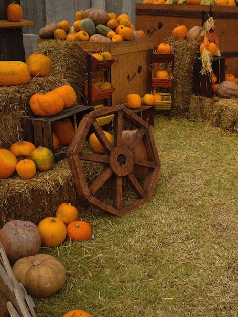 Foto: IG pumpkinzonemx
