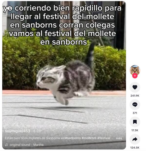 Foto: Tiktok @soymiguel453